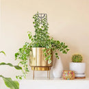GobekUsa Metal Garden Plant Stand for Indoor and Outdoor Growth