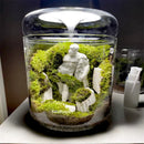 GobekUsa Mini Glass Bottle Terrarium Kit - Home Decor