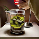 GobekUsa Mini Glass Bottle Terrarium Kit - Home Decor