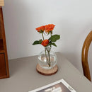 GobekUsa Mini Glass Flower Vase for Home Decor