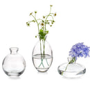 GobekUsa Mini Glass Flower Vase for Home Decor