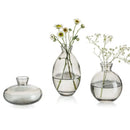 GobekUsa Mini Glass Flower Vase for Home Decor