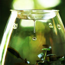 GobekUsa Mini Glass Terrarium for Succulents and Moss