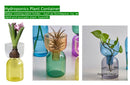 GobekUsa Mini Glass Vase Set for Plants and Candles