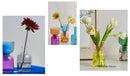 GobekUsa Mini Glass Vase Set for Plants and Candles