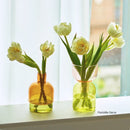 GobekUsa Mini Glass Vase Set for Plants and Candles