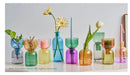 GobekUsa Mini Glass Vase Set for Plants and Candles