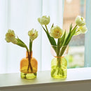 GobekUsa Mini Glass Vase Set for Plants and Candles