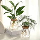 GobekUsa Mini Nordic Glass Hydroponic Planter Tray
