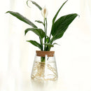 GobekUsa Mini Nordic Glass Hydroponic Planter Tray