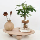GobekUsa Mini Nordic Glass Hydroponic Planter Tray