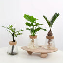 GobekUsa Mini Nordic Glass Hydroponic Planter Tray