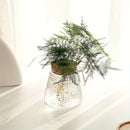 GobekUsa Mini Nordic Glass Hydroponic Planter Tray
