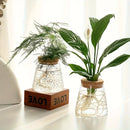GobekUsa Mini Nordic Glass Hydroponic Planter Tray