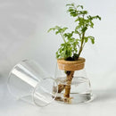 GobekUsa Mini Nordic Glass Hydroponic Planter Tray