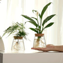 GobekUsa Mini Nordic Glass Hydroponic Planter Tray