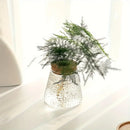 Mini nordic glass hydroponic planter with wood lid living room decor by Decorbites