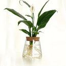 Mini nordic glass hydroponic planter with wood lid living room decor by Decorbites