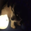 Mini popular cat white silicone night lamp bedroom eye protection by Decorbites