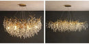 GobekUsa Modern Crystal Chandelier with LED Lighting
