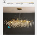 GobekUsa Modern Crystal Chandelier with LED Lighting