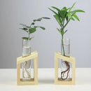 Modern crystal glass test tube vase trio living room wooden stand by Decorbites