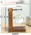 Modern crystal glass test tube vase trio living room wooden stand by Decorbites