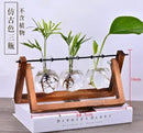 Modern crystal glass test tube vase trio living room wooden stand by Decorbites