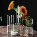 GobekUsa Modern Glass Hydroponic Vase for Wedding Decor