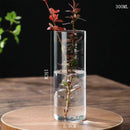 GobekUsa Modern Glass Hydroponic Vase for Wedding Decor