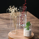 GobekUsa Modern Glass Hydroponic Vase for Wedding Decor