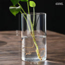 GobekUsa Modern Glass Hydroponic Vase for Wedding Decor