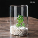 GobekUsa Modern Glass Hydroponic Vase for Wedding Decor
