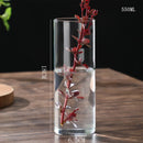 GobekUsa Modern Glass Hydroponic Vase for Wedding Decor