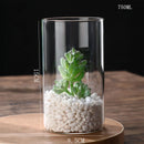 GobekUsa Modern Glass Hydroponic Vase for Wedding Decor