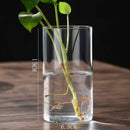 GobekUsa Modern Glass Hydroponic Vase for Wedding Decor