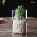 GobekUsa Modern Glass Hydroponic Vase for Wedding Decor