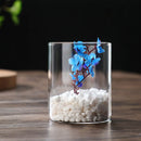 GobekUsa Modern Glass Hydroponic Vase for Wedding Decor