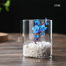 GobekUsa Modern Glass Hydroponic Vase for Wedding Decor