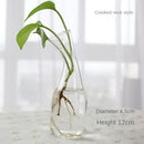 GobekUsa Modern Glass Vase Terrarium Aquarium Decoration