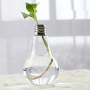 GobekUsa Modern Glass Vase Terrarium Aquarium Decoration