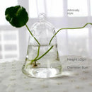 GobekUsa Modern Glass Vase Terrarium Aquarium Decoration