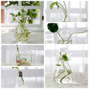 GobekUsa Modern Glass Vase Terrarium Aquarium Decoration