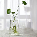GobekUsa Modern Glass Vase Terrarium Aquarium Decoration