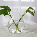 GobekUsa Modern Glass Vase Terrarium Aquarium Decoration
