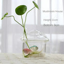 GobekUsa Modern Glass Vase Terrarium Aquarium Decoration