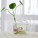 GobekUsa Modern Glass Vase Terrarium Aquarium Decoration