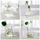 GobekUsa Modern Glass Vase Terrarium Aquarium Decoration