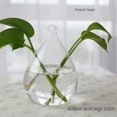 GobekUsa Modern Glass Vase Terrarium Aquarium Decoration