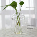GobekUsa Modern Glass Vase Terrarium Aquarium Decoration